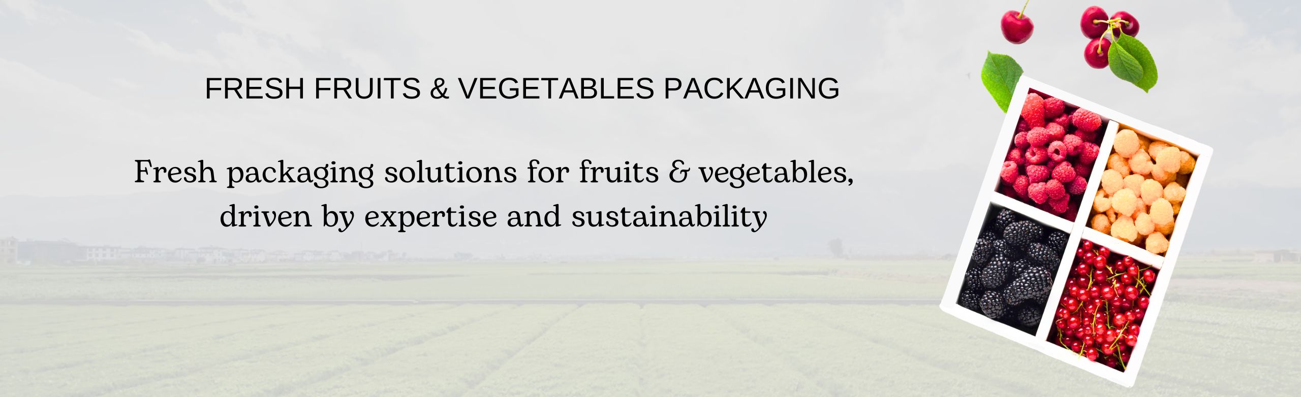 Fresh Fruits & Vegetables Packaging manufacturer in India.