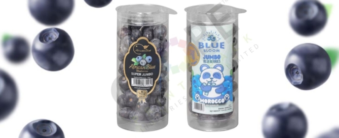 Custom thermoformed packaging tube